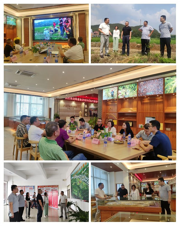 老子有钱lzyq88(中国)有限公司