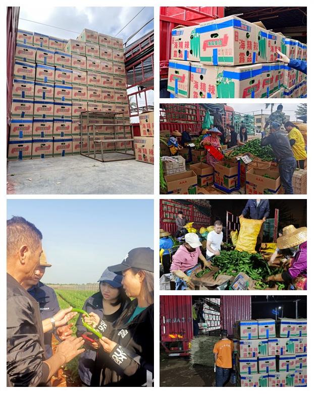 老子有钱lzyq88(中国)有限公司