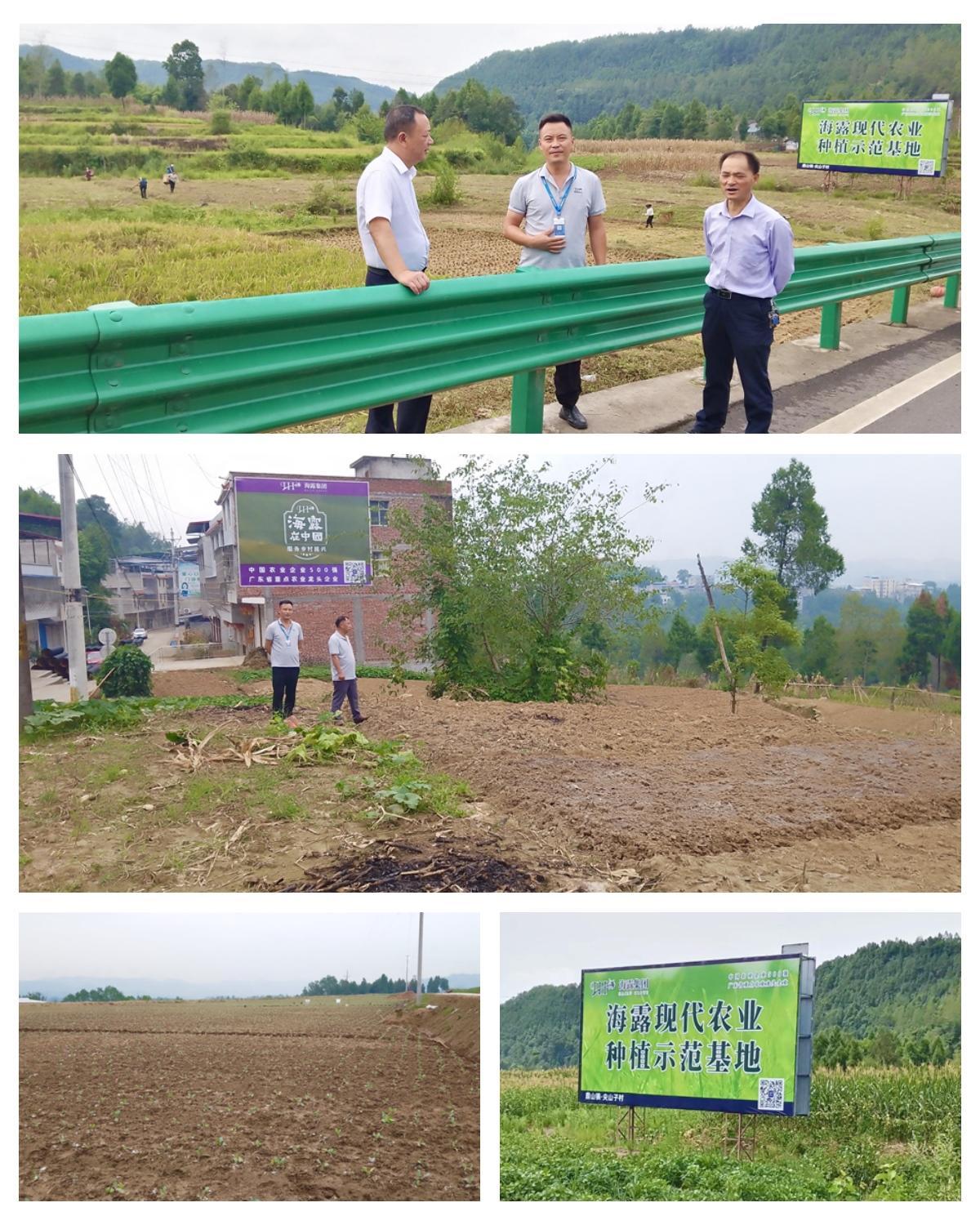 老子有钱lzyq88(中国)有限公司