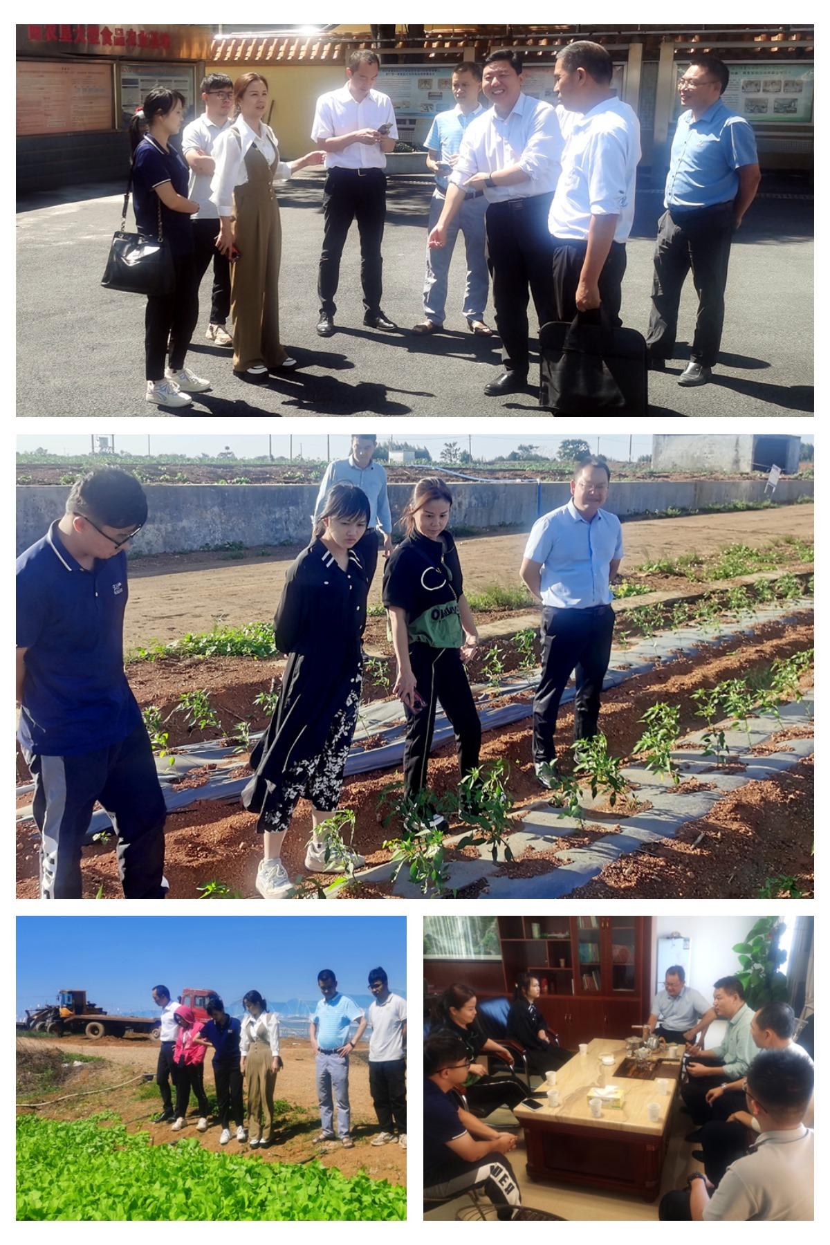 老子有钱lzyq88(中国)有限公司