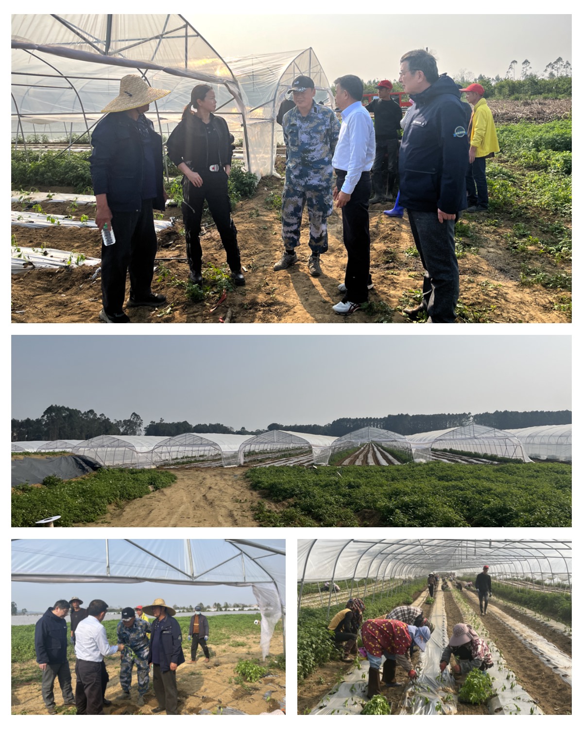 老子有钱lzyq88(中国)有限公司