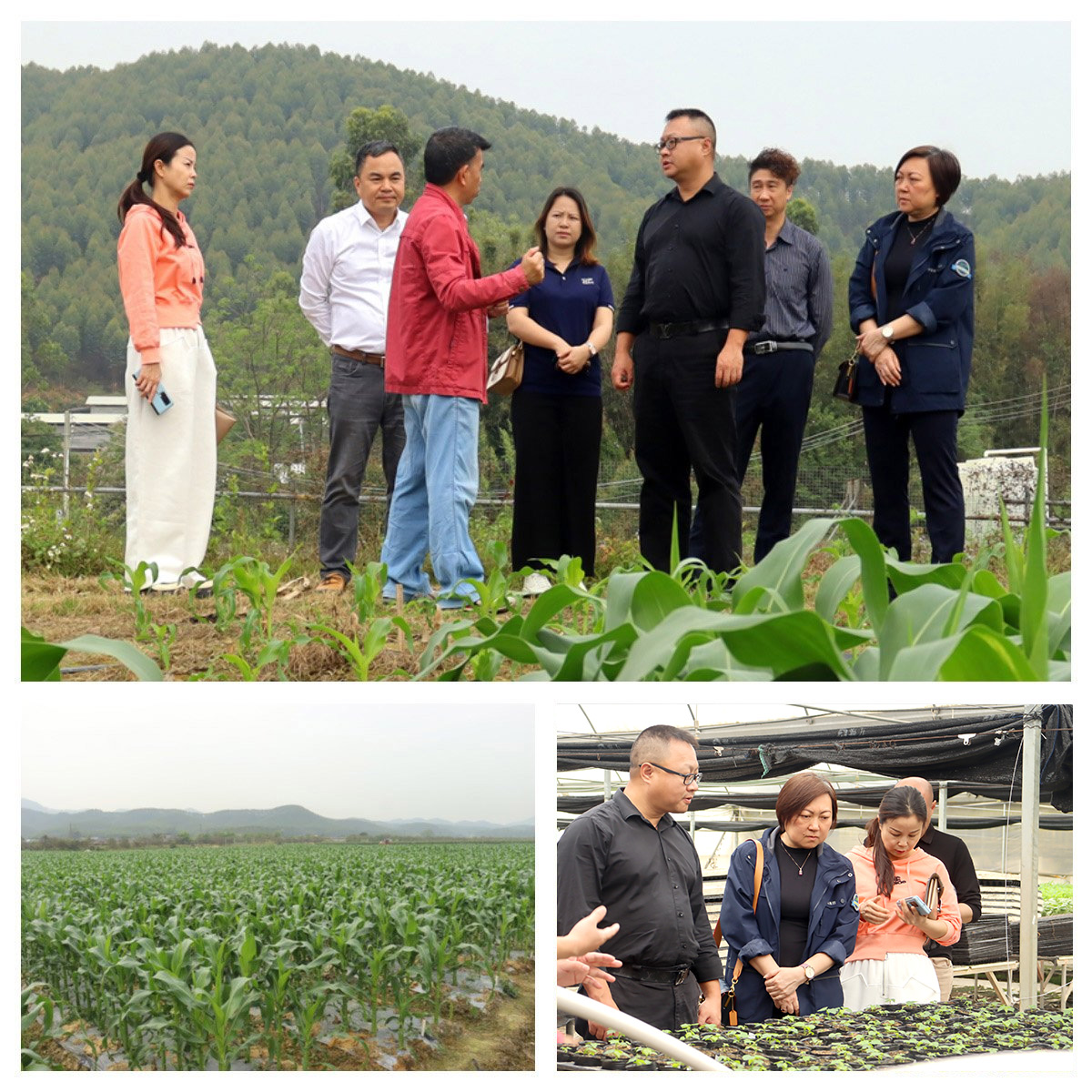 老子有钱lzyq88(中国)有限公司