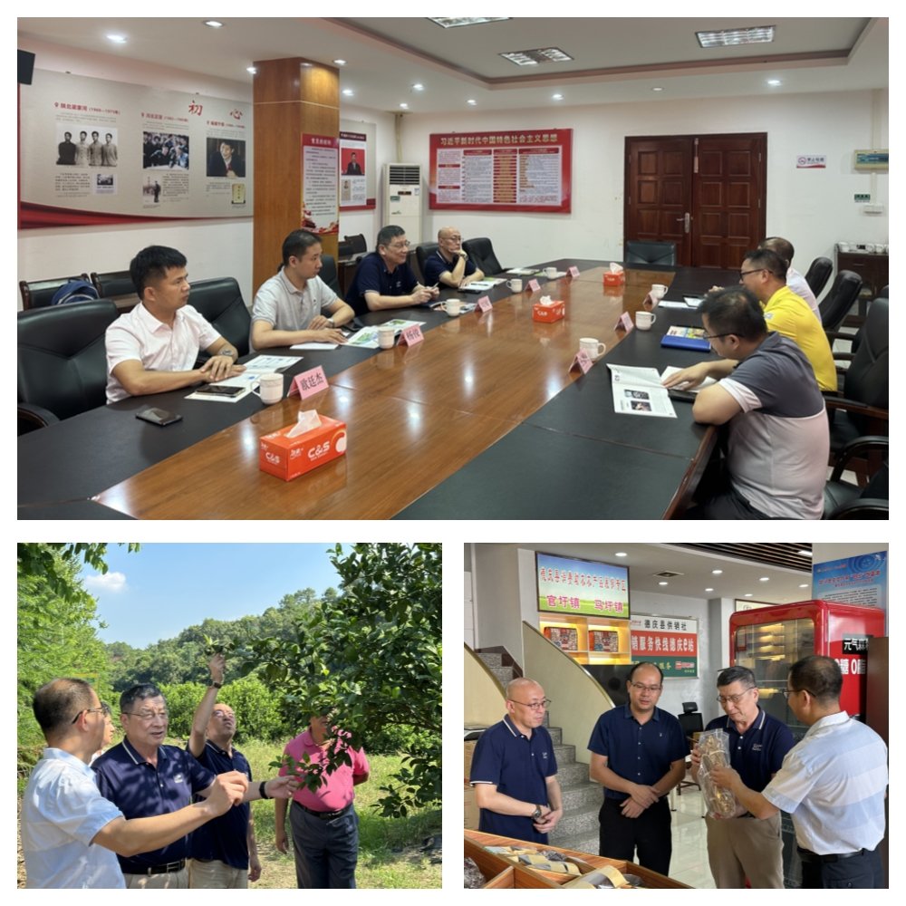 老子有钱lzyq88(中国)有限公司