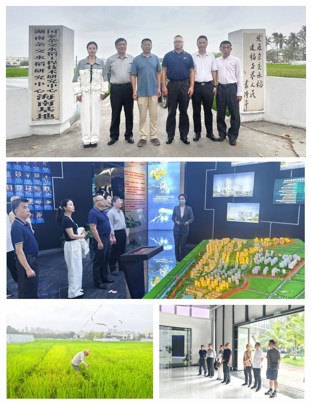 老子有钱lzyq88(中国)有限公司