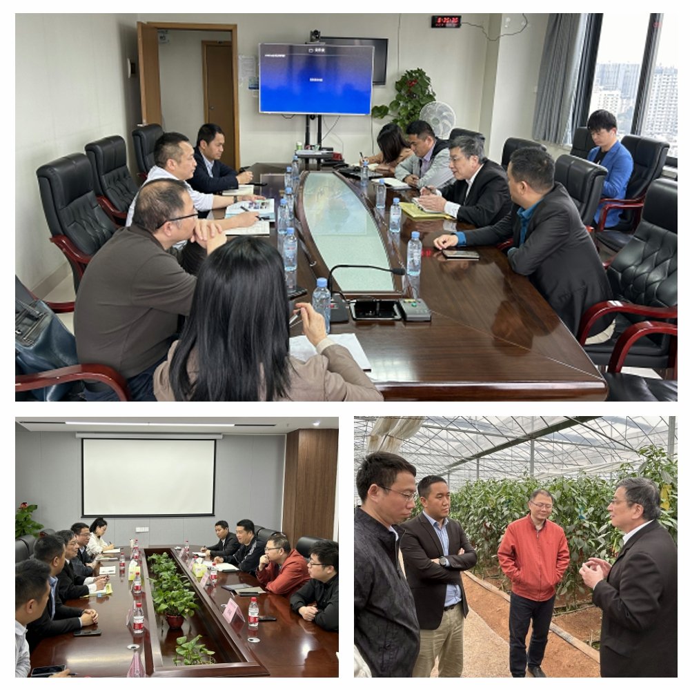 老子有钱lzyq88(中国)有限公司