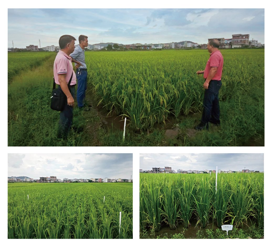 老子有钱lzyq88(中国)有限公司