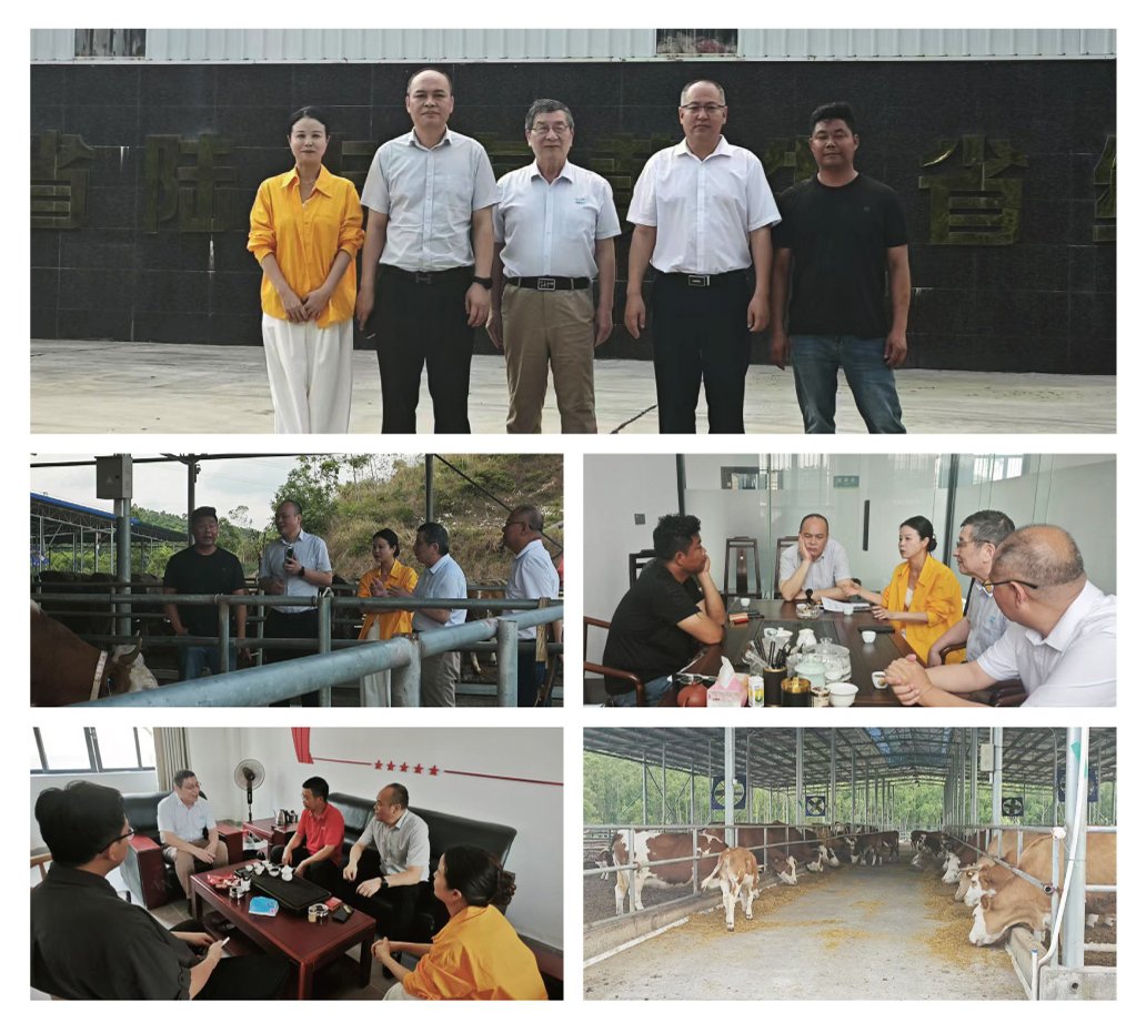 老子有钱lzyq88(中国)有限公司