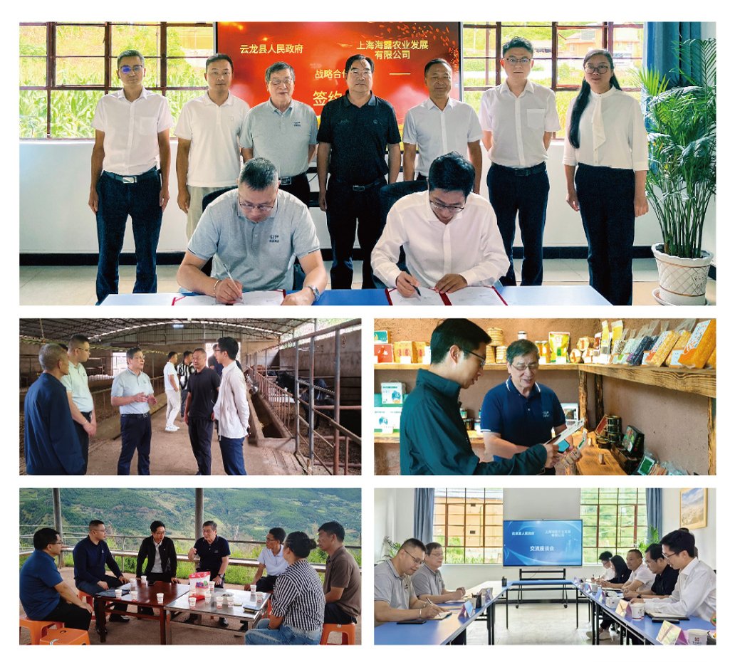 老子有钱lzyq88(中国)有限公司