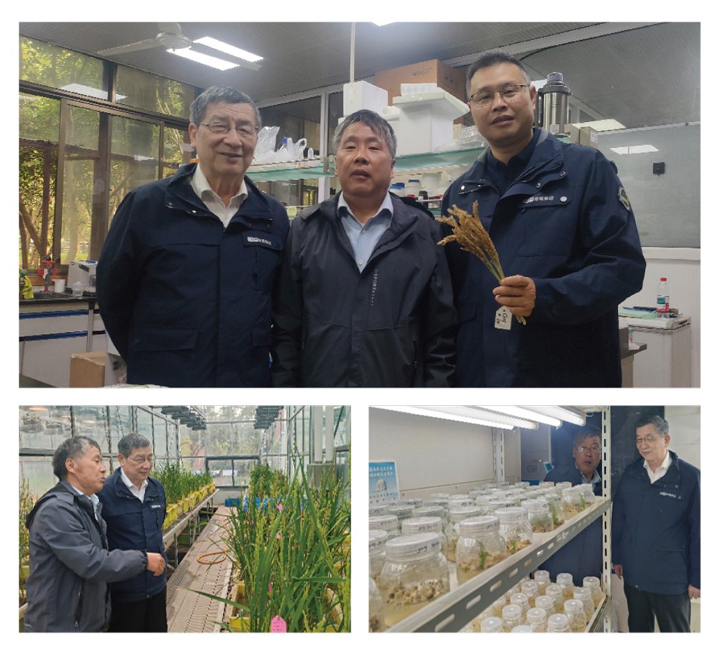 老子有钱lzyq88(中国)有限公司